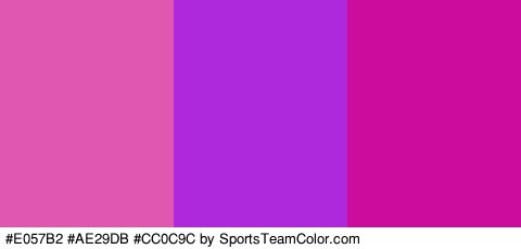 #E057B2 #AE29DB #CC0C9C Colors