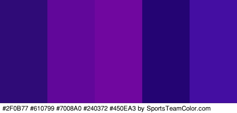 #2F0B77 #610799 #7008A0 #240372 #450EA3 Colors