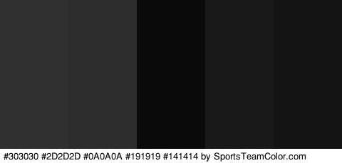 #303030 #2D2D2D #0A0A0A #191919 #141414 Colors