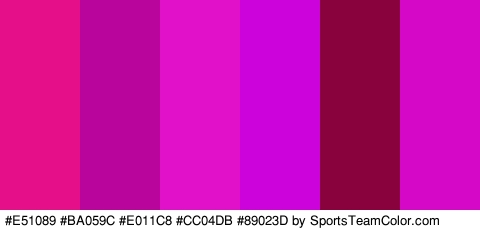 #E51089 #BA059C #E011C8 #CC04DB #89023D #D608C8 Colors