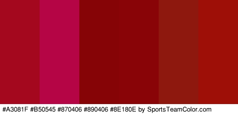 #A3081F #B50545 #870406 #890406 #8E180E #9E0F07 Colors