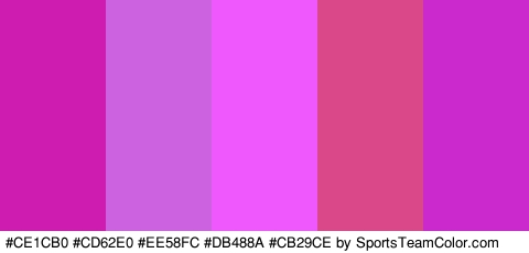 #CE1CB0 #CD62E0 #EE58FC #DB488A #CB29CE Colors