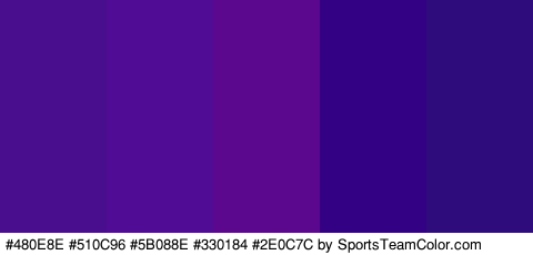 #480E8E #510C96 #5B088E #330184 #2E0C7C Colors