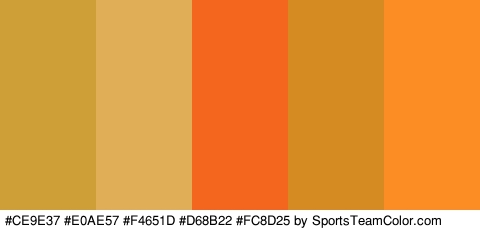 #CE9E37 #E0AE57 #F4651D #D68B22 #FC8D25 Colors