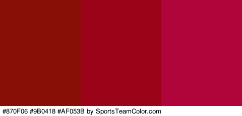 #870F06 #9B0418 #AF053B Colors