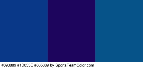 #093889 #1D055E #065389 Colors