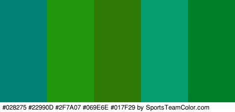 #028275 #22990D #2F7A07 #069E6E #017F29 Colors