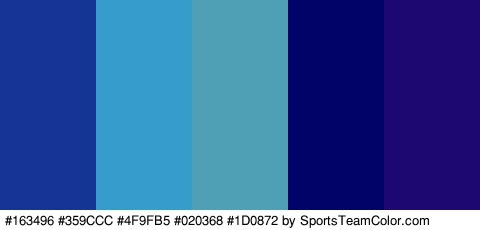 #163496 #359CCC #4F9FB5 #020368 #1D0872 Colors