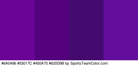 #6A0496 #53017C #450A70 #620D9B Colors