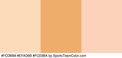 #FCDBB8 #EFAD6B #FCD3BA Colors