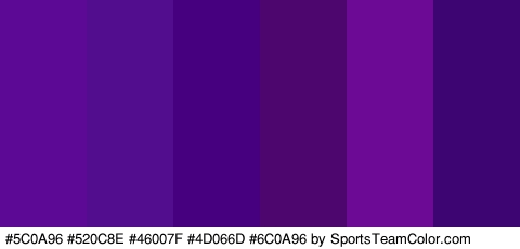 #5C0A96 #520C8E #46007F #4D066D #6C0A96 #3C0572 Colors