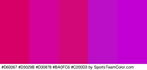 #D60067 #D3029B #D30878 #BA0FC6 #C200D3 Colors