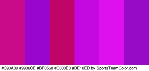 #C90A89 #9906CE #BF0568 #C308E0 #DE10ED #980BC6 Colors