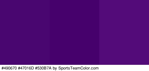 #490670 #47016D #530B7A Colors