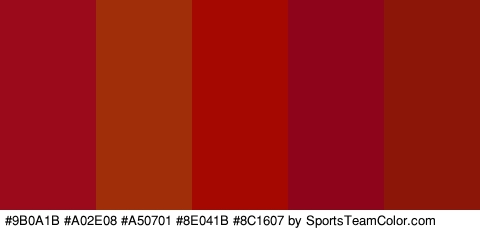 #9B0A1B #A02E08 #A50701 #8E041B #8C1607 Colors