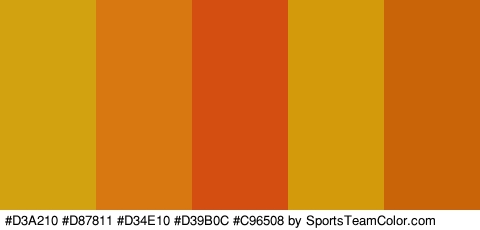 #D3A210 #D87811 #D34E10 #D39B0C #C96508 Colors