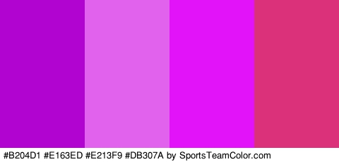 #B204D1 #E163ED #E213F9 #DB307A Colors