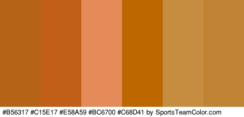 #B56317 #C15E17 #E58A59 #BC6700 #C68D41 #C18434 Colors