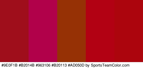 #9E0F1B #B2014B #963106 #B20113 #AD050D Colors