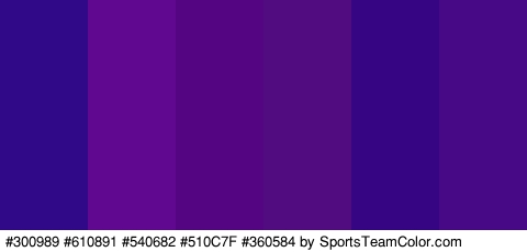 #300989 #610891 #540682 #510C7F #360584 #480987 Colors