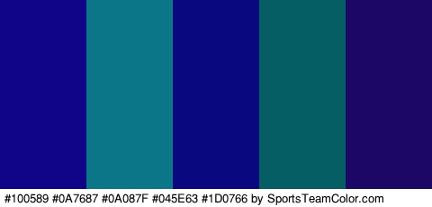 #100589 #0A7687 #0A087F #045E63 #1D0766 Colors