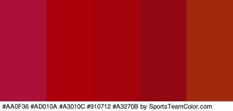 #AA0F36 #AD010A #A3010C #910712 #A3270B Colors