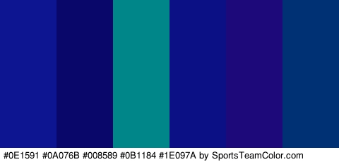 #0E1591 #0A076B #008589 #0B1184 #1E097A #013175 Colors