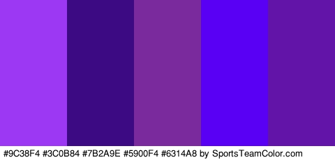 #9C38F4 #3C0B84 #7B2A9E #5900F4 #6314A8 Colors