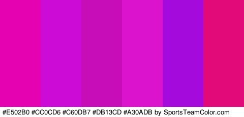 #E502B0 #CC0CD6 #C60DB7 #DB13CD #A30ADB #E20979 Colors