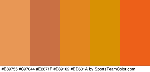 #E89755 #C97044 #E2871F #D89102 #ED601A Colors