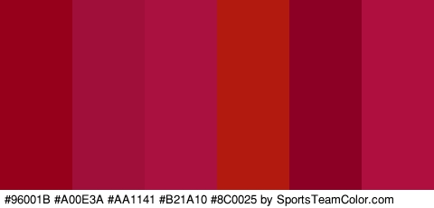 #96001B #A00E3A #AA1141 #B21A10 #8C0025 #AF0F3F Colors