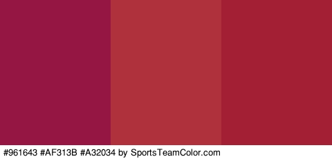 #961643 #AF313B #A32034 Colors