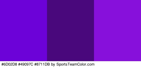 #6D02D8 #49097C #8711DB Colors