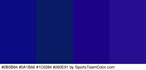 #0B0B84 #0A1B66 #1C0284 #260E91 Colors