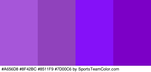 #A656D8 #8F42BC #8511F9 #7D00C6 Colors