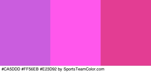 #CA5DDD #FF56EB #E23D92 Colors