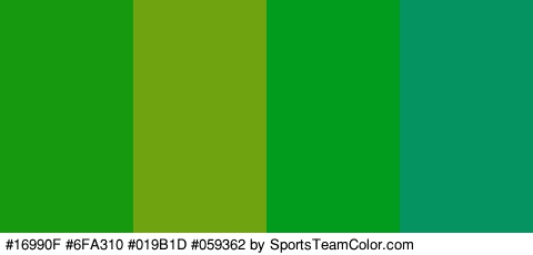 #16990F #6FA310 #019B1D #059362 Colors