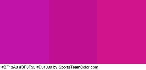 #BF13A8 #BF0F93 #D31389 Colors