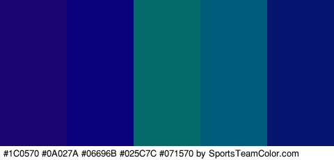 #1C0570 #0A027A #06696B #025C7C #071570 Colors