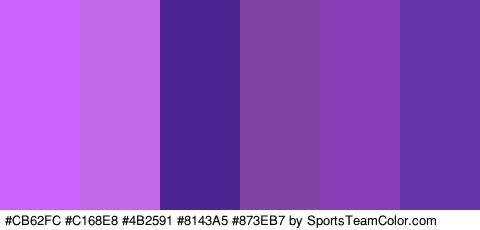 #CB62FC #C168E8 #4B2591 #8143A5 #873EB7 #6434A8 Colors