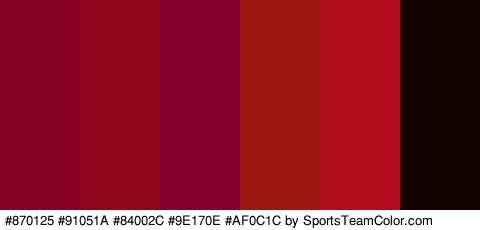 #870125 #91051A #84002C #9E170E #AF0C1C #160101 Colors