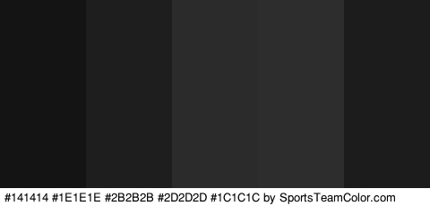 #141414 #1E1E1E #2B2B2B #2D2D2D #1C1C1C Colors