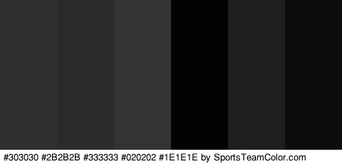 #303030 #2B2B2B #333333 #020202 #1E1E1E #0C0C0C Colors