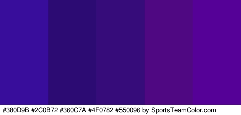 #380D9B #2C0B72 #360C7A #4F0782 #550096 Colors