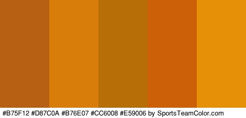 #B75F12 #D87C0A #B76E07 #CC6008 #E59006 Colors