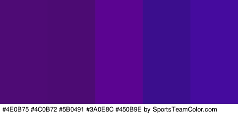 #4E0B75 #4C0B72 #5B0491 #3A0E8C #450B9E Colors