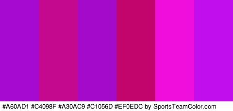 #A60AD1 #C4098F #A30AC9 #C1056D #EF0EDC #C00EED Colors