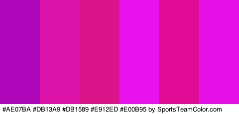 #AE07BA #DB13A9 #DB1589 #E912ED #E00B95 #E510E5 Colors