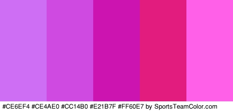 #CE6EF4 #CE4AE0 #CC14B0 #E21B7F #FF60E7 Colors