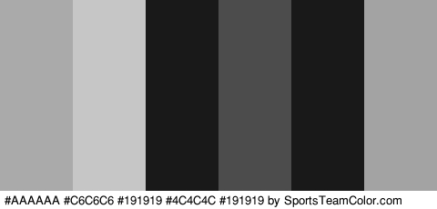 #AAAAAA #C6C6C6 #191919 #4C4C4C #191919 #A3A3A3 Colors